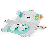 Розвиваючий килимок Bright Starts "Tummy Time Prop & Play"