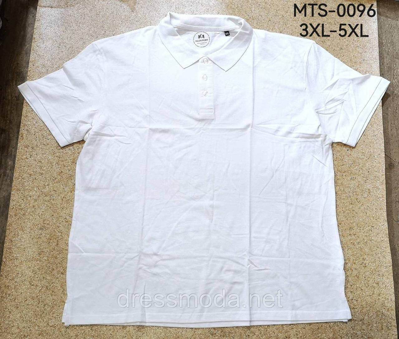Чоловічі поло Glo-Story 3XL-5XL