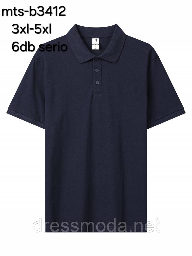 Чоловічі поло Glo-Story 3XL-5XL