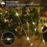 Гірлянда Lezonic 220 LED Fairy Lights Outdoor Power, 8 м/8 режимів, ПВХ Fairy Lights з дистанційним упрв, фото 3
