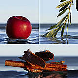 Hugo Boss Boss Bottled Infinite Парфумована вода чоловіча, 1.5 мл пробник, фото 6