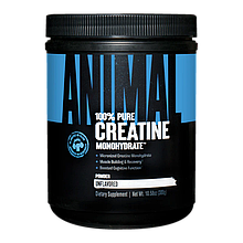 Creatine Monohydrate Powder Universal Nutrition 300 g