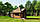 Grillhaus mit Sauna 5,3x3,7x3,5m Saunahaus 17 vom Hersteller Thermowood Production, фото 3