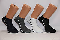 Мужские носки короткие с хлопка Кардешлер 39-42 56048
