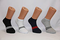 Мужские носки короткие с хлопка Кардешлер 43-46 56050