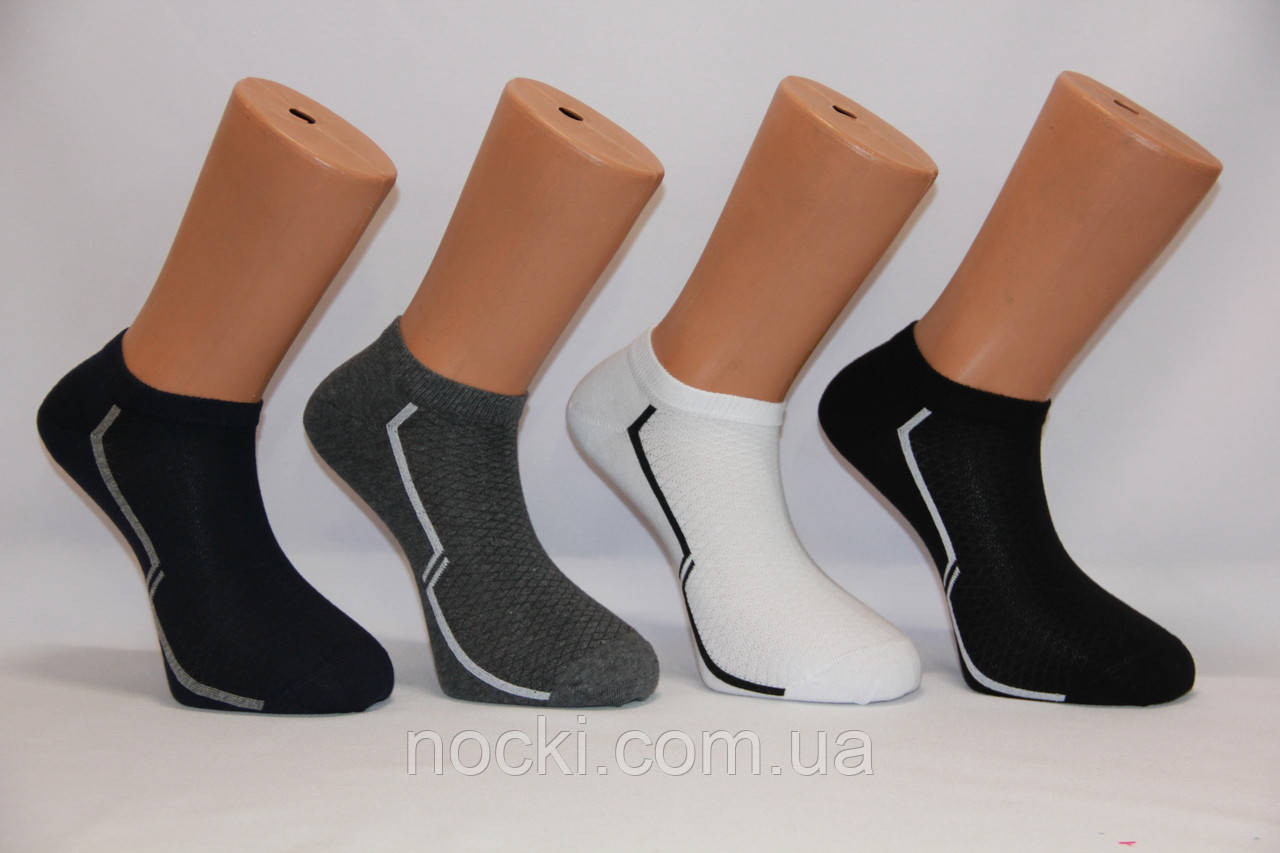 Чоловічі шкарпетки короткі з бавовни Кардишлер 43-46 56048