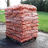 Сітка палетна еластична 50см (1000м) сітка для обмотки палет, фото 6