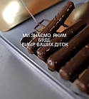 Пастила без цукру "Асорті" у бельгійському молочному шоколаді 20шт/упак ТМ Conmi, фото 8