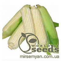 Семена сладкой, сахарной кукурузы "Медунка F1" 1 кг/ белозерновая сладкая/ насіння солодкой цукровой кукурудзи