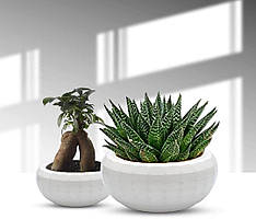 Lantberg Набір з 2 горщиків для рослин із високоякісного пластику