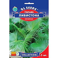 Пальма китайская Ливистона GL Seeds 5 шт