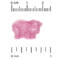 Chewable Vitamin D3 for Children 12.5 mcg (500 IU) California Gold Nutrition 90 жувальних таблеток, фото 3