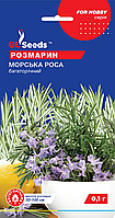 Семена Розмарина Морская роса GL Seeds 0.1 г