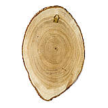 Картина на зрізі дерева Петриківський розпис ручної роботи 30х20 см КВІТИ І КАЛИНА Український сувенір, фото 10