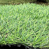 Ширина 1 м декоративна штучна трава LG Grass 30 мм., фото 5