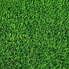 Штучна трава Green city LG Grass 40 мм 1 м Газонне покриття для виставкових стендів Трава штучна для зони барбекю, фото 4