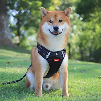 Анатомічна шлейка для собаки 4 світловідбиваючі смуги S 4.5 - 7кг чорний