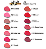 Пімент Viva BLOOD #9 гібридний для перманентного макіяжу губ (4 мл)/6 мл, фото 3