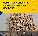 Добриво Добросем (8-12-12) мішок 15кг.. Євросем, фото 2