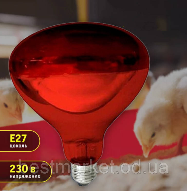 Лампа інфрачервона для обігрівання птахів і тварин 250W Е27 230V повністю червона, фото 1