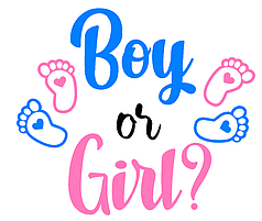 Наліпка на латексну кулю-гігант 28"/36"-  Boy or Girl?