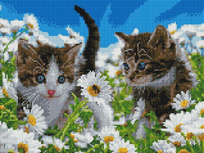 Алмазна мозаїка "Котики у ромашках" 30х40 ST473, фото 1