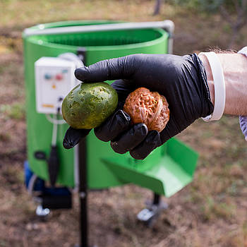 Очищувач волоського горіха від зеленої шкірки, Мийка горіха, пілінг для горіха (300 кг/год) hotdeal
