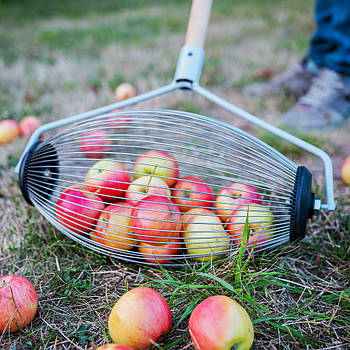Рол для збору яблук, плодосборник mebelime