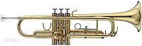 Духовний інструмент Stagg WS-TR215S - trąbka Bb z pokrowcem