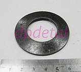 Пружина опори проміжної МТЗ 72-2209021, фото 3