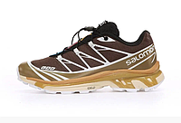 Кроссовки Salomon XT- 6 "Brown Beige"