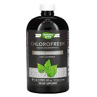 Nature's Way Liquid Chlorophyll 480 ml, Без смаку 1316 PS