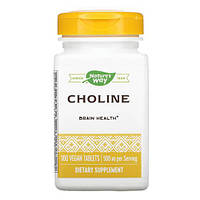 Nature's Way Choline 500 mg 100 таблеток 1870 PS