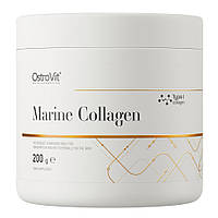 Препарат для суставов и связок OstroVit Marine Collagen, 200 грамм Груша CN8937-1 PS