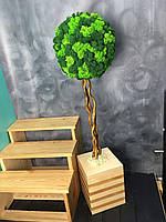 Декоративное Дерево из стабилизированного мха 100 см