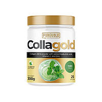 Препарат для суставов и связок Pure Gold Protein CollaGold, 300 грамм Мохито CN7415-6 PS
