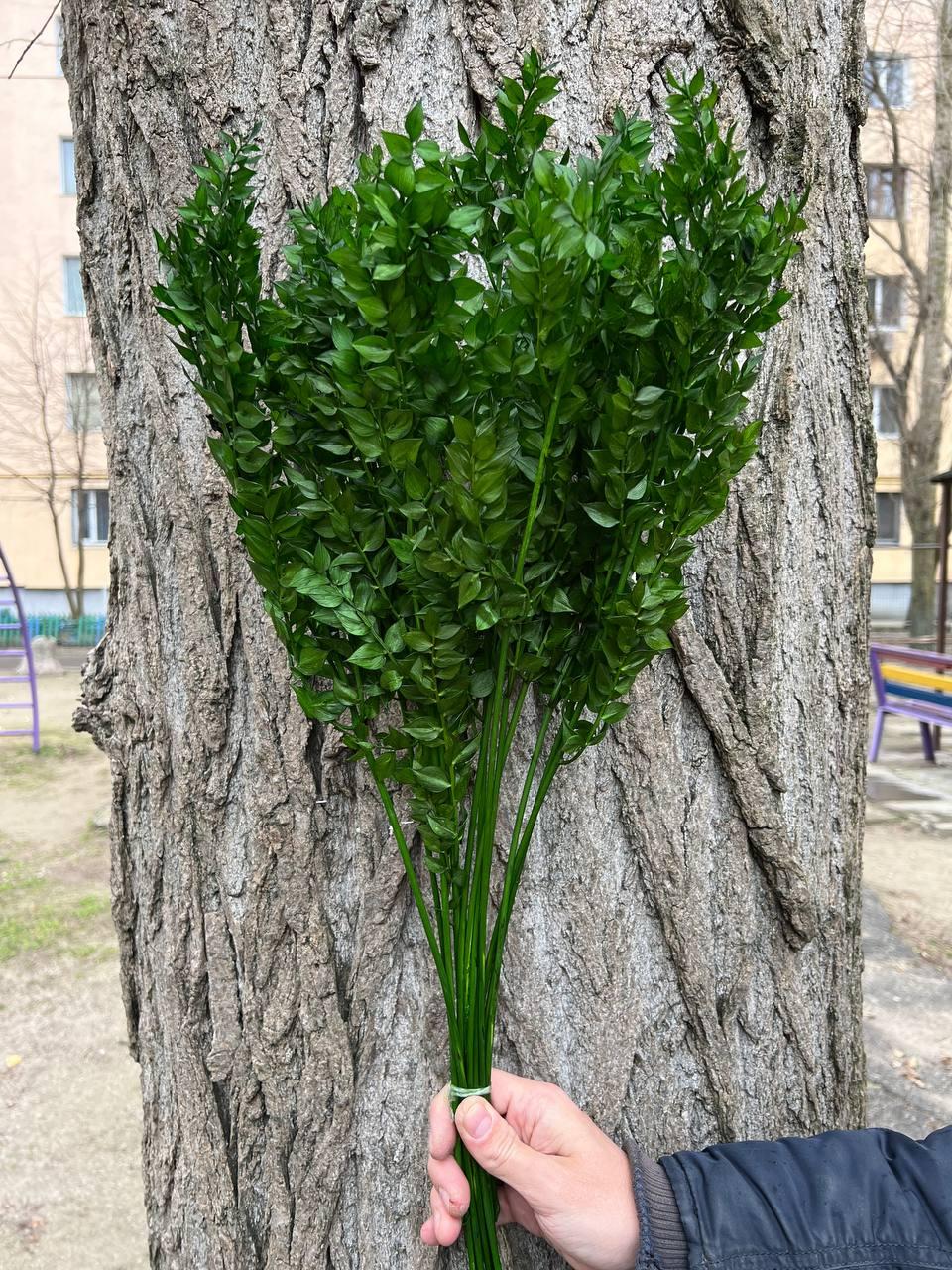Рускус 200 грамм (ID#1260661382), цена: 575 ₴, купить на Prom.ua