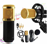 Студійний конденсаторний мікрофон DM-800 зі стійкою і вітрозахистом Black/Gold, фото 10
