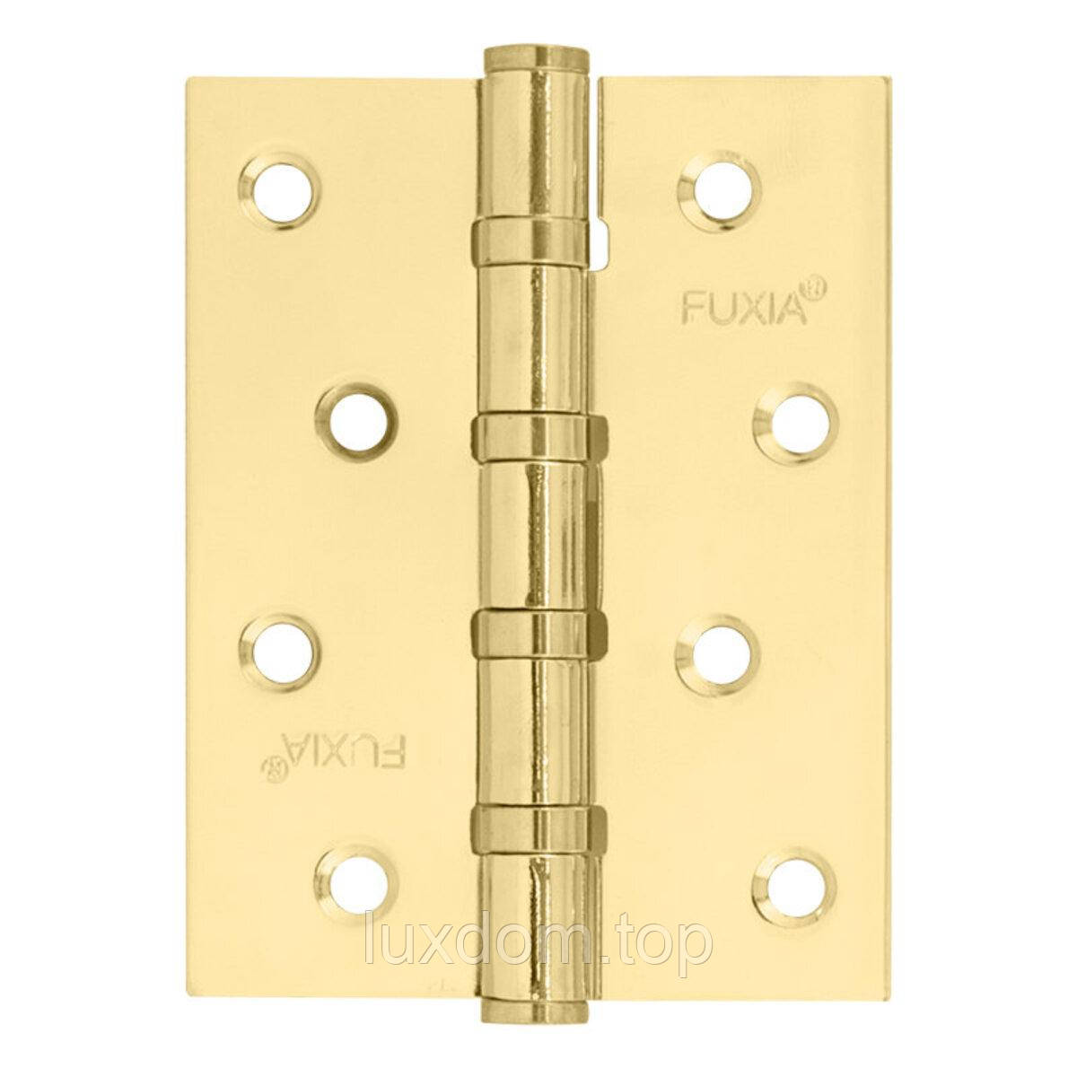 Завiса 100 * 2,5 (4 підшип, сталь) пол.лат Fuxia, фото 1