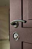 Вхідні двері Браш, фото 3