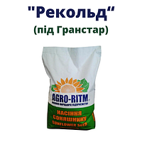 Семена подсолнечника гибрид Рекольд под гранстар (екстра) 2023 год, ТОВ "НВП "АГРО - РИТМ"", Украина