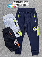 Спортивные брюки для мальчиков оптом, Seagull, 98-128 рр арт. CSQ-29190