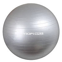 Мяч для фитнеса Profi 65 см Серый, M0276-1(Grey)