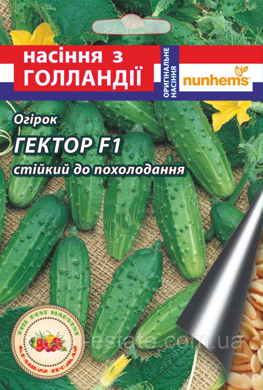 Насіння огірка Гектор F1 15 шт.