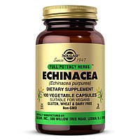 FP Echinacea - 100 vcaps arena