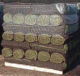 Сітка палетна еластична 50см (1000м) сітка для обмотки палет, фото 9