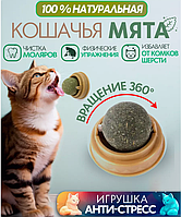 Кошачья мята на стену | купить недорого, на Prom | Украина