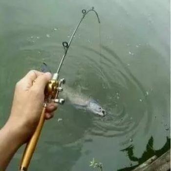 Вудка кишенькова складана Fishing rod in pen case,