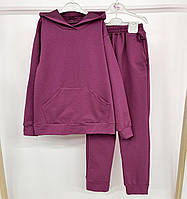 Костюм базовый, демисезонный,подростковый , однотонный, худи с капюшоном и штаны Сливовый, 140-146