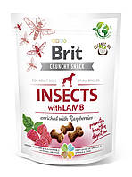 Ласощі для собак Brit Care Dog Crunchy Cracker Insects для травлення з комахами, ягням і малиною 200 г